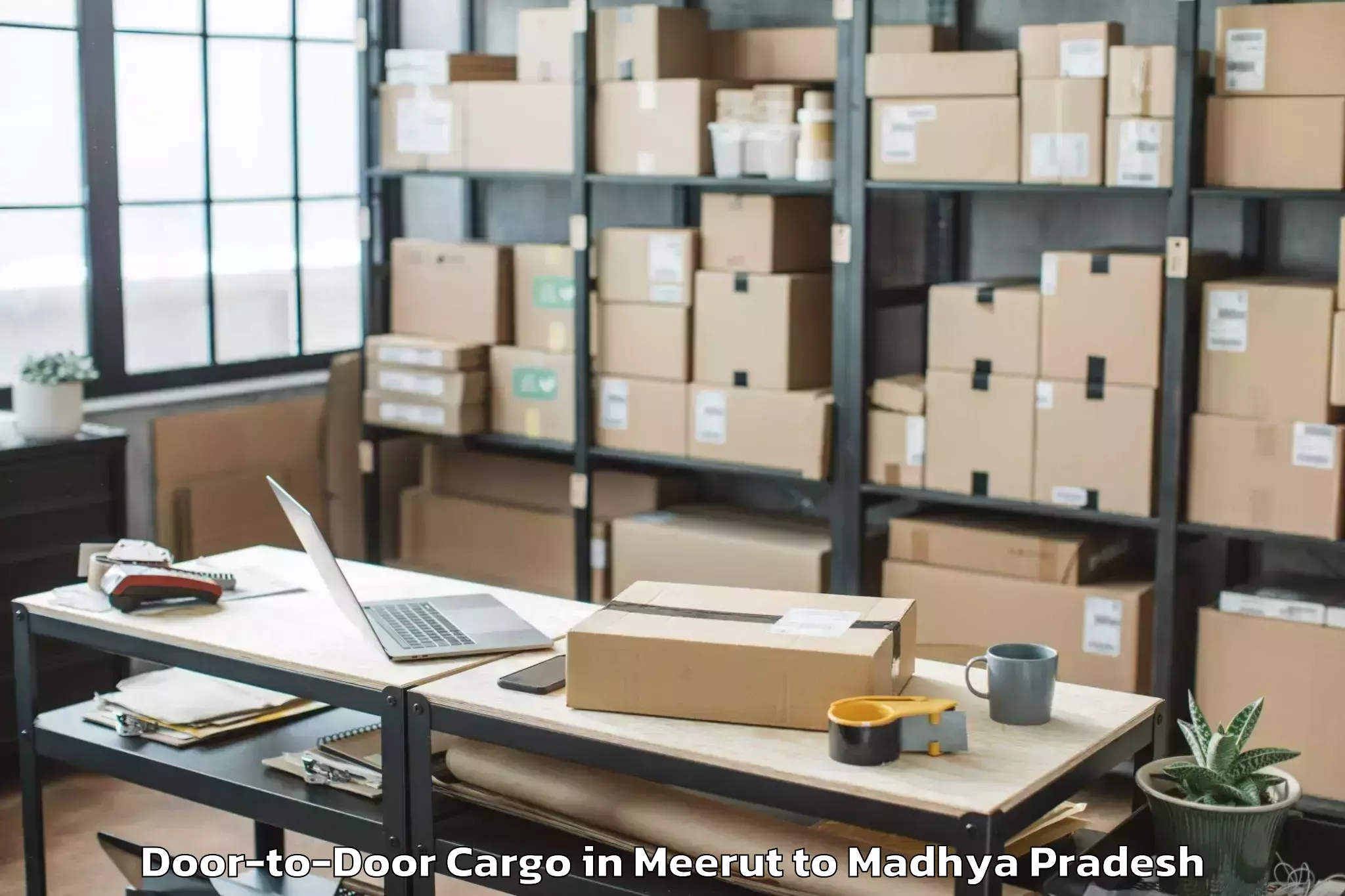 Professional Meerut to Itarsi Door To Door Cargo